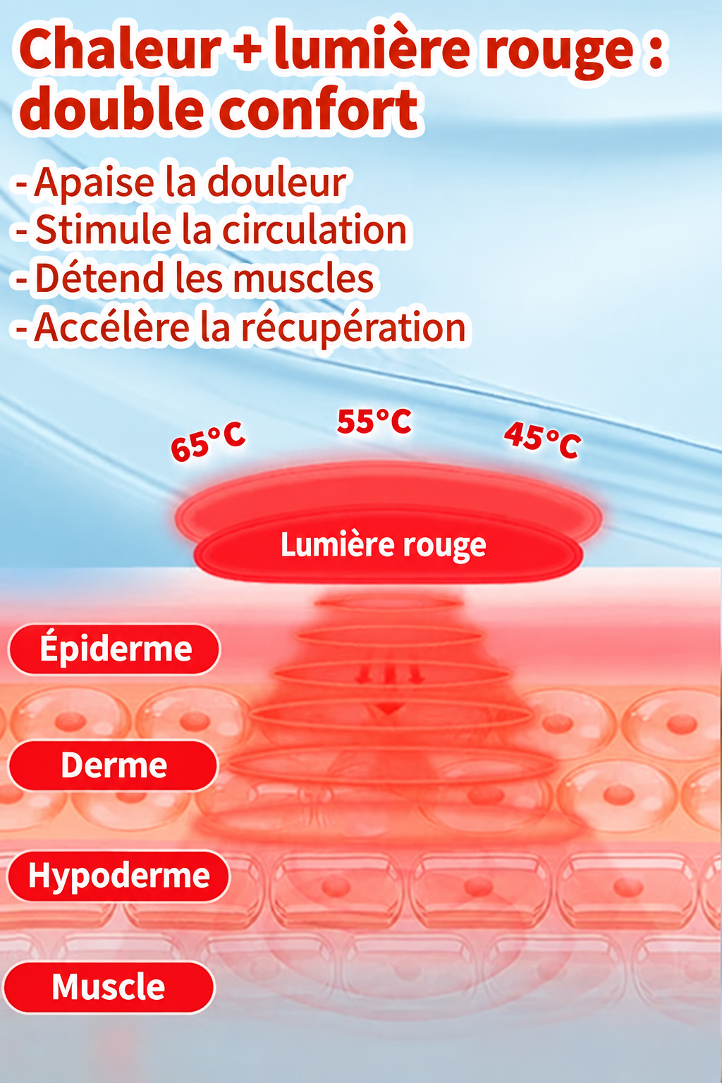 Schéma du fournisseur sur la chaleur et la lumière rouge traduit en français
